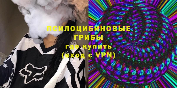МДПВ Армянск
