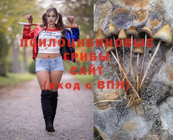 гидропоника Аркадак