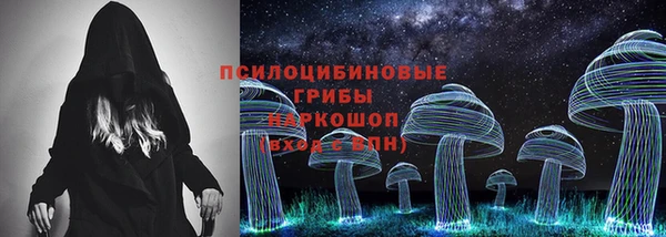 дурь Арсеньев