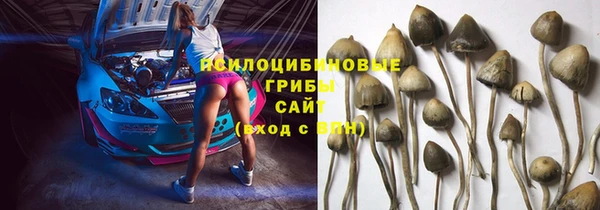 дурь Арсеньев