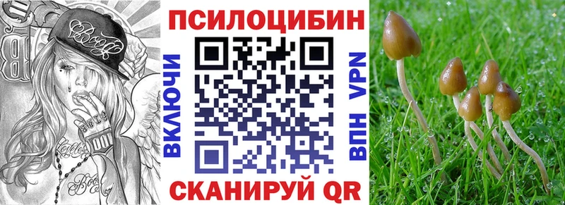 Галлюциногенные грибы Psilocybine cubensis  купить наркотик  Артёмовский 